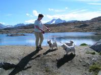 Klik op de foto voor groter formaat